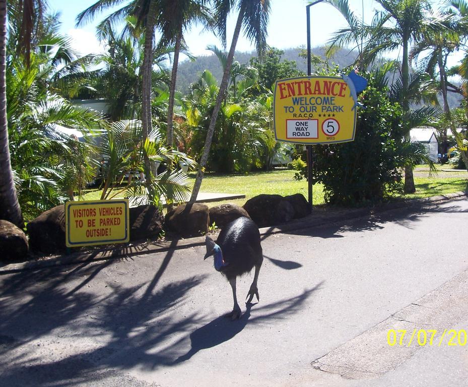 Flying Fish Point Tourist Park Hotel Innisfail Exterior photo