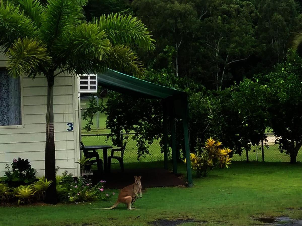 Flying Fish Point Tourist Park Hotel Innisfail Exterior photo